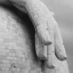 Stop Woke: The War Against Awakening and Belonging