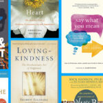 A Mindfulness Studies Student Book Roundup