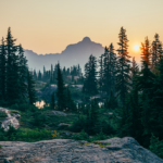 A Practice to Navigate Grief