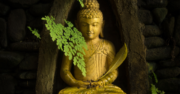 Finding the Buddha in You