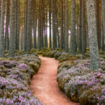 Learning Is  the Path Forward