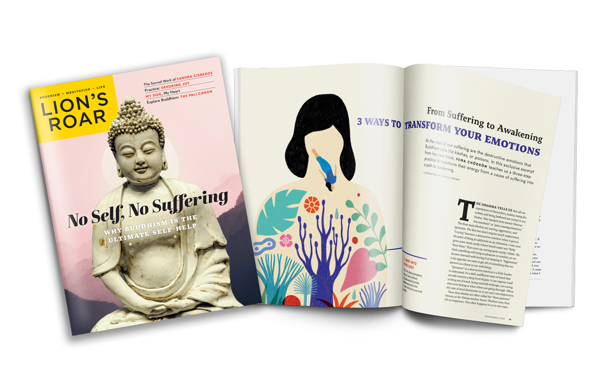 Magazine cover and sample pages