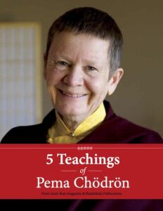 cover of pema chodron e-book