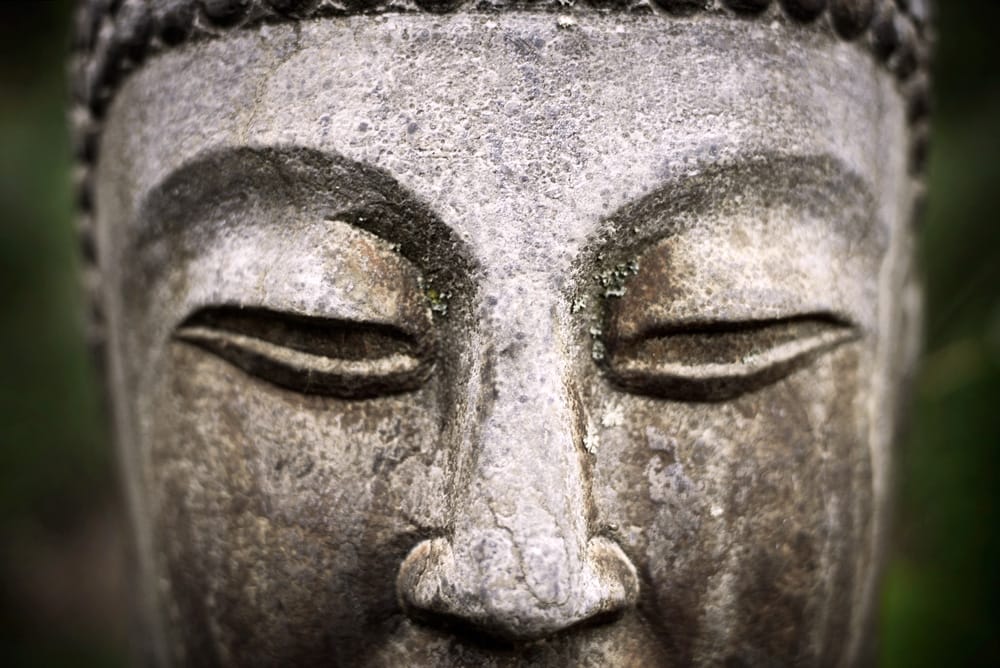Buddha eyes.