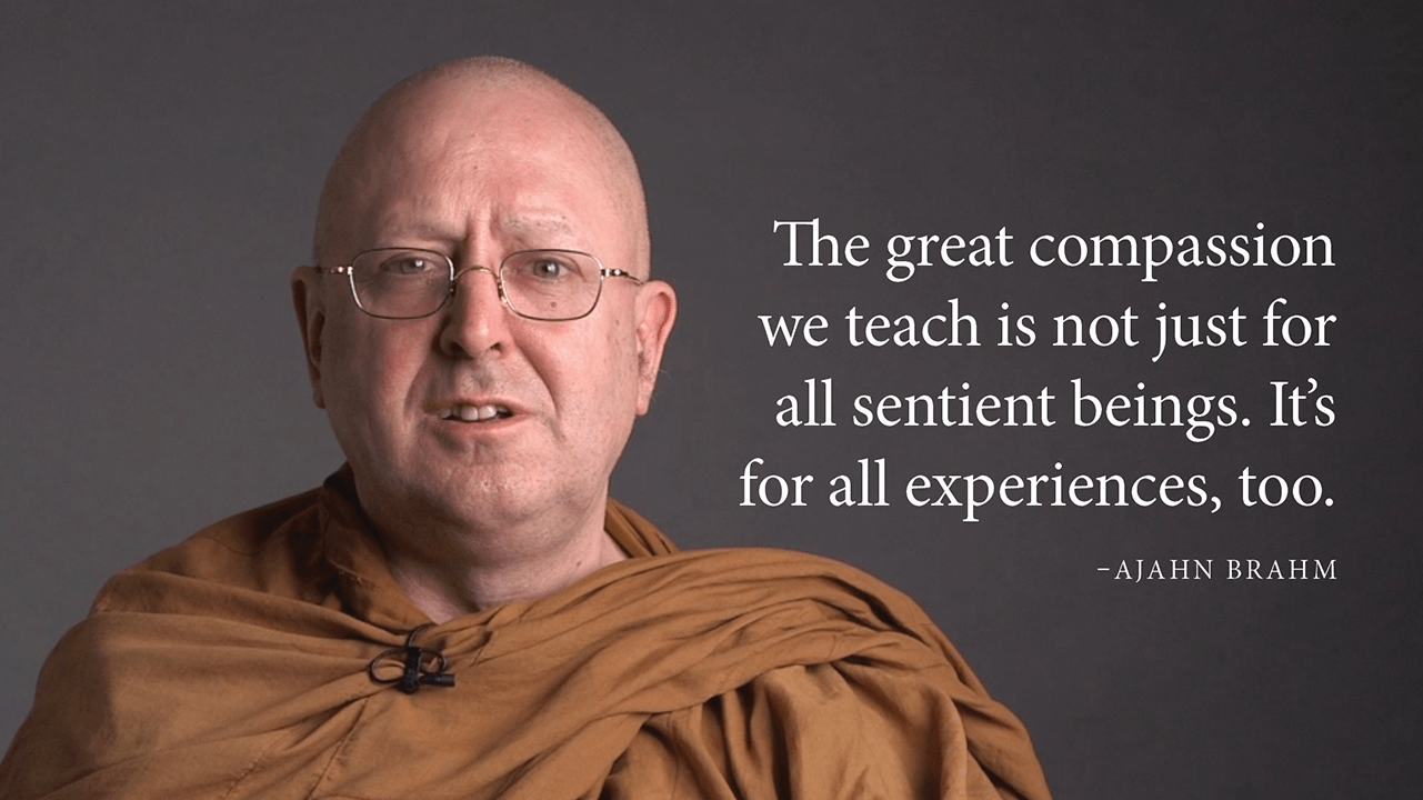 Ajahn Brahm Video Compassion Funny Shit Experiences Watch Ordination History Buddhism Democracy Teachers