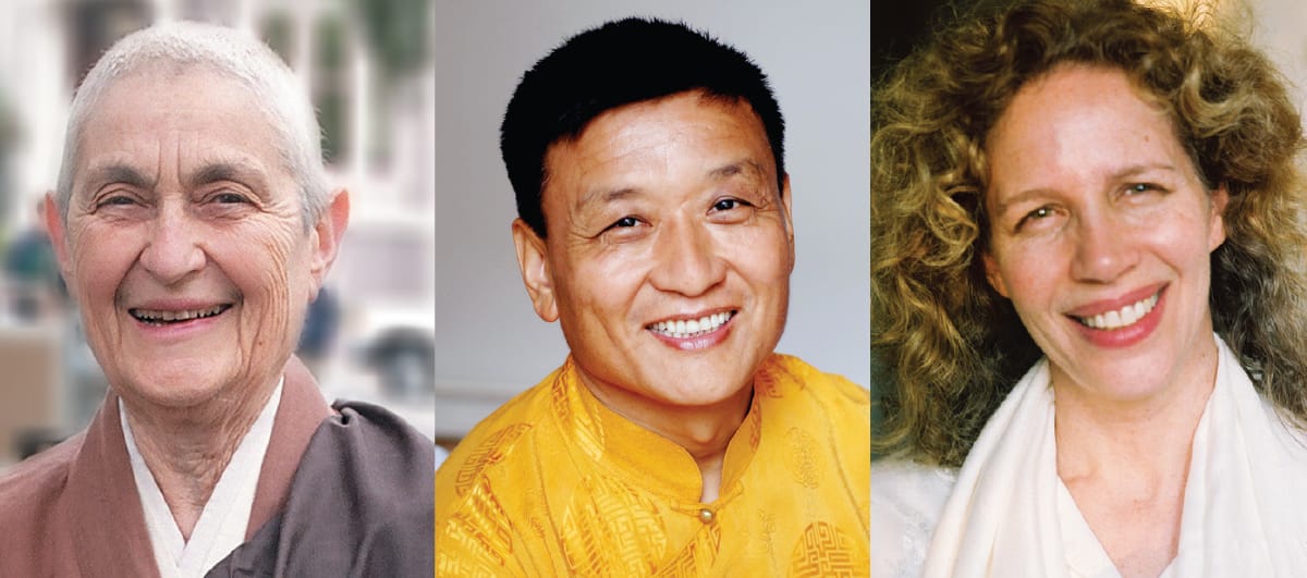 abortion, buddhadharma, lion's roar, buddhism, narayan helen liebenson, blanche hartman, tenzin wangyal rinpoche