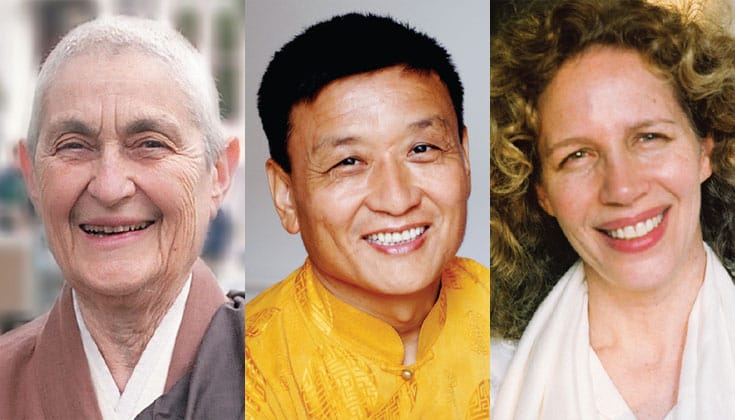 abortion, buddhadharma, lion's roar, buddhism, narayan helen liebenson, blanche hartman, tenzin wangyal rinpoche