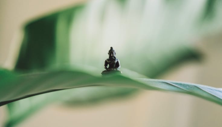 Black Buddha figurine on green leaf