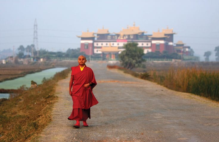 mingyur rinpoche, lion's roar, shambhala sun