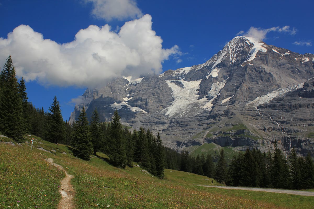 Shambhala Sun, Death & Dying, John Tarrant, Zen, Lion's Roar