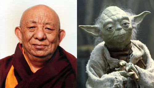 Tsenzhab Serkong rinpoche yoda Buddhism Dalai Lama tutor debate partner Lion's Roar news Star Wars the Force jedi