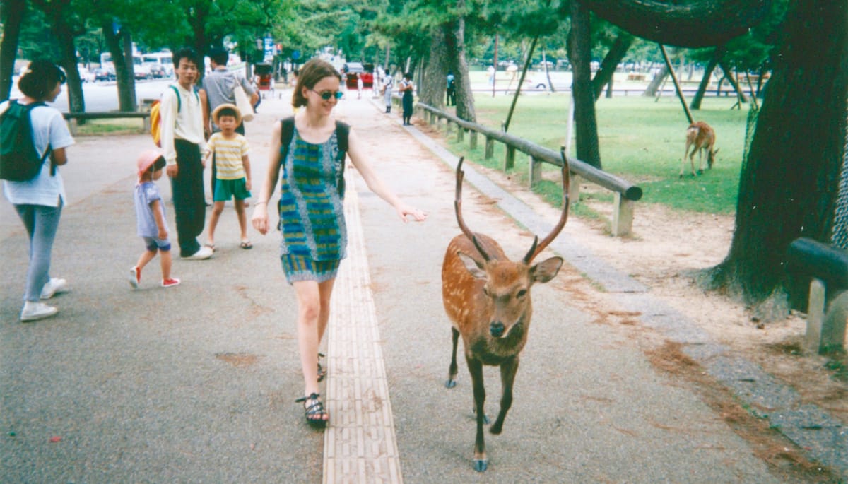 Andrea touching a deer in Nara.