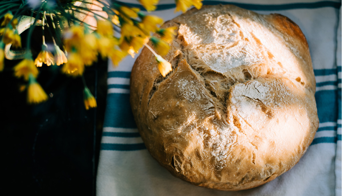 Sourdough Baguettes - Lion's Bread