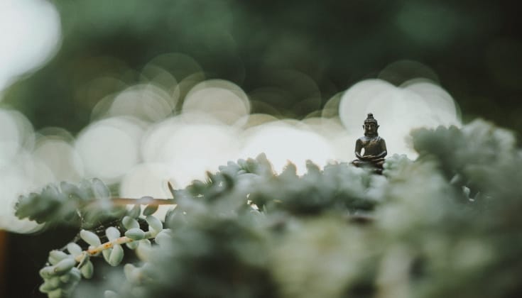 Tiny buddha statue in garden