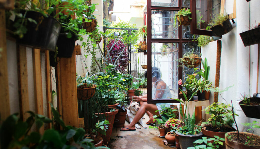 Person sitting in garden with dog.