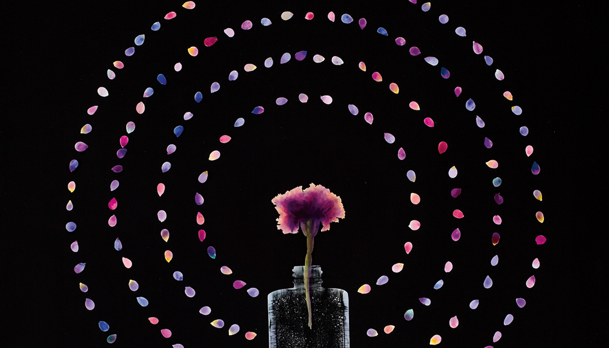 Image of pink carnation in glass bottle with petals in layers of circles