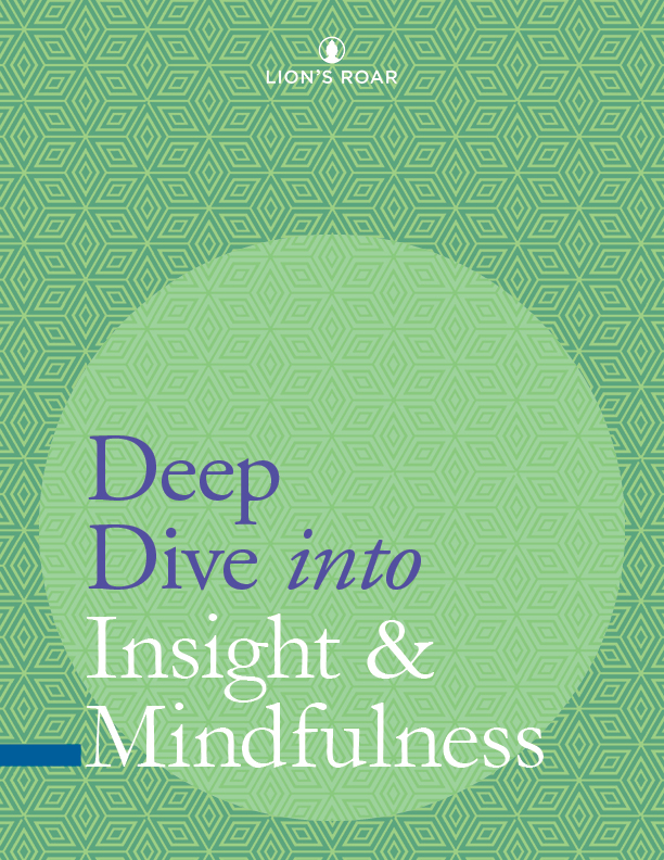 Deep Dive into Insight & Mindfulness