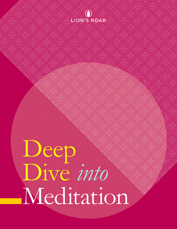 Deep Dive into Meditation