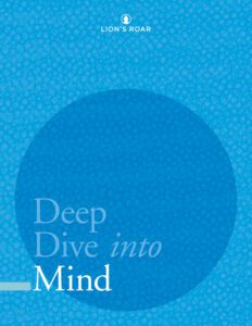 Deep Dive into Mind | Lion’s Roar