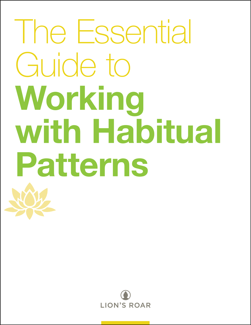 The Essential Guide to Working with Habitual Patterns