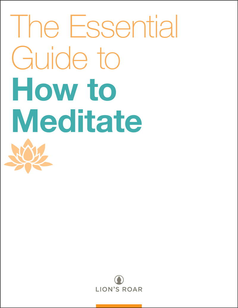 The Essential Guide to How to Meditate