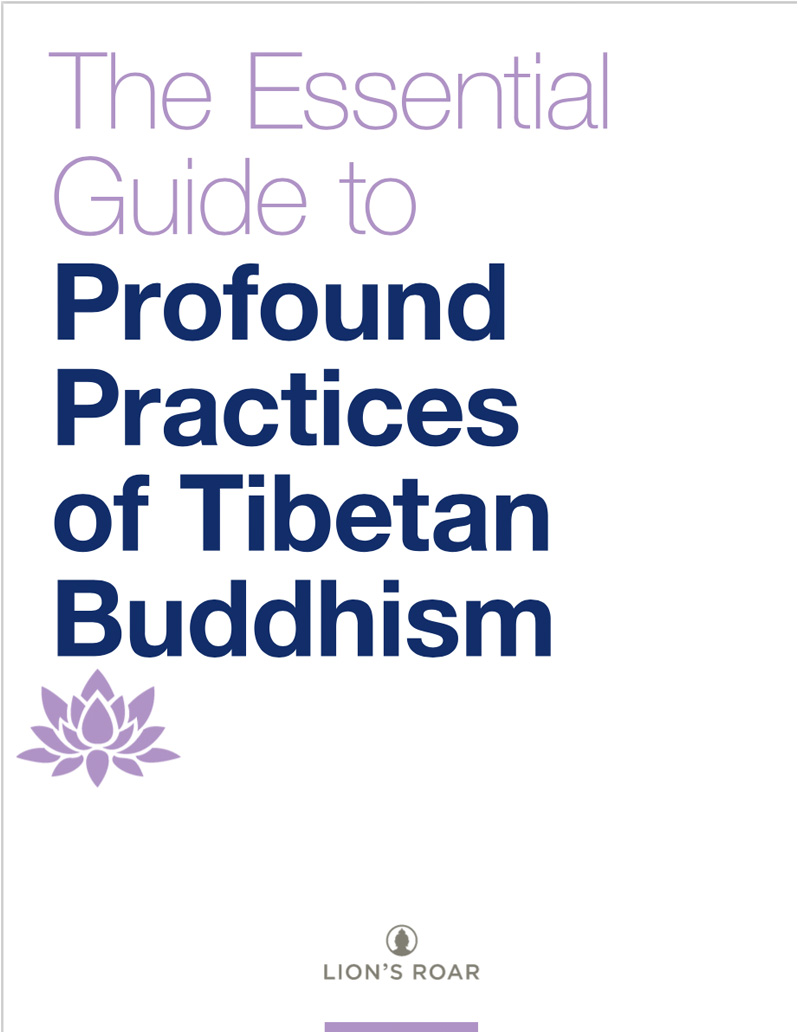 The Essential Guide to Profound Practices of Tibetan Buddhism