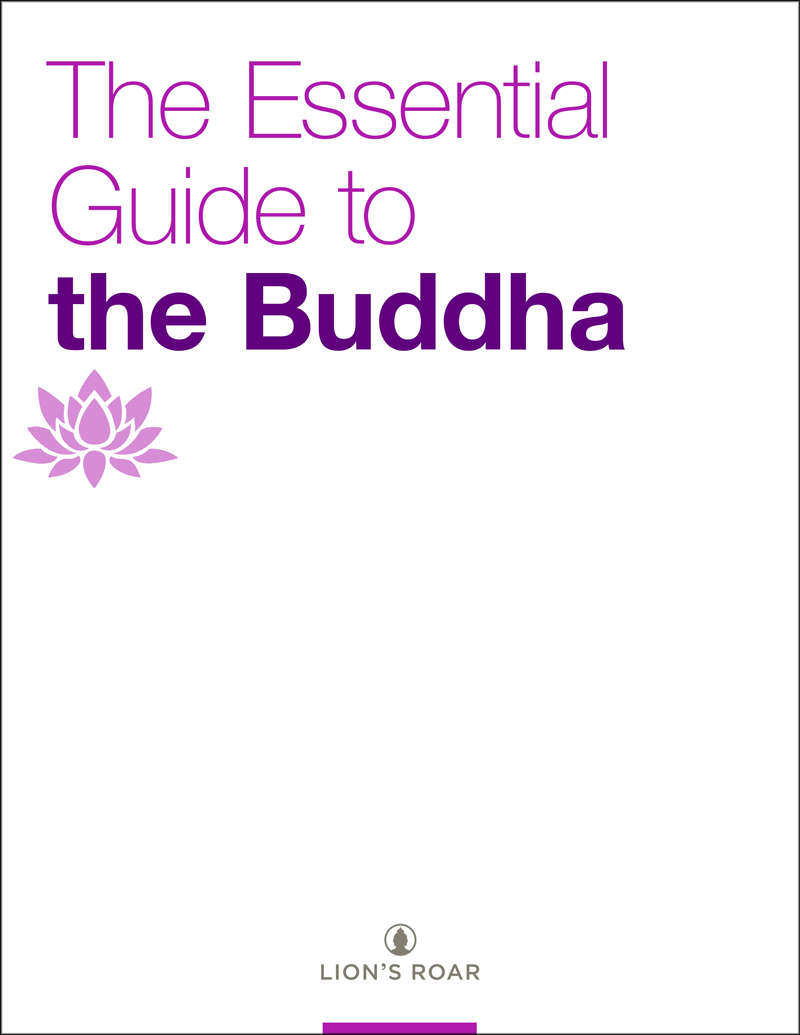 The Essential Guide to the Buddha