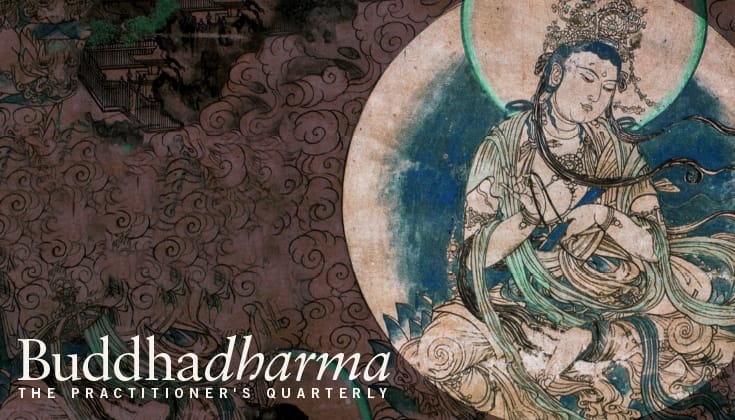 Buddhadharma cover, "How to be a bodhisattva"