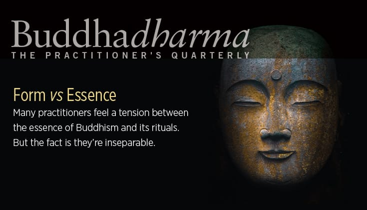 buddhadharma summer 2015 form versus essence cover