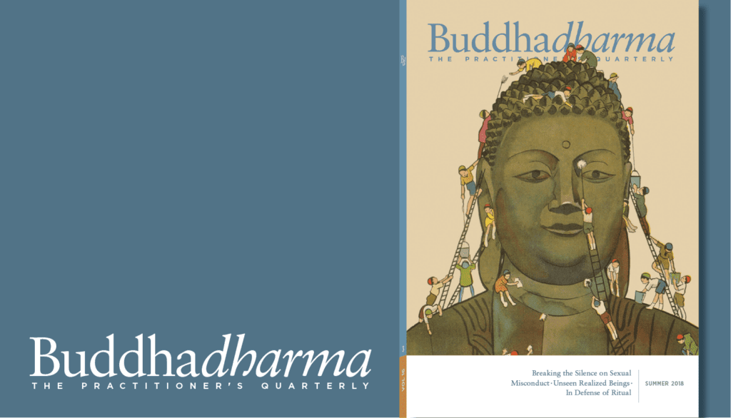 Inside the Summer 2018 issue of Buddhadharma: The Practitioner's ...