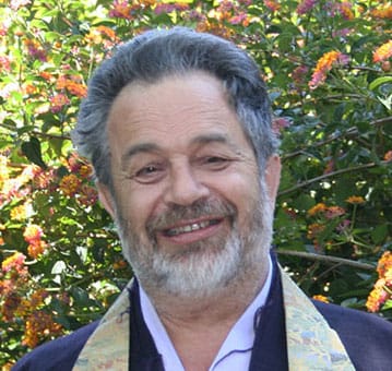 Ross Bolleter Roshi