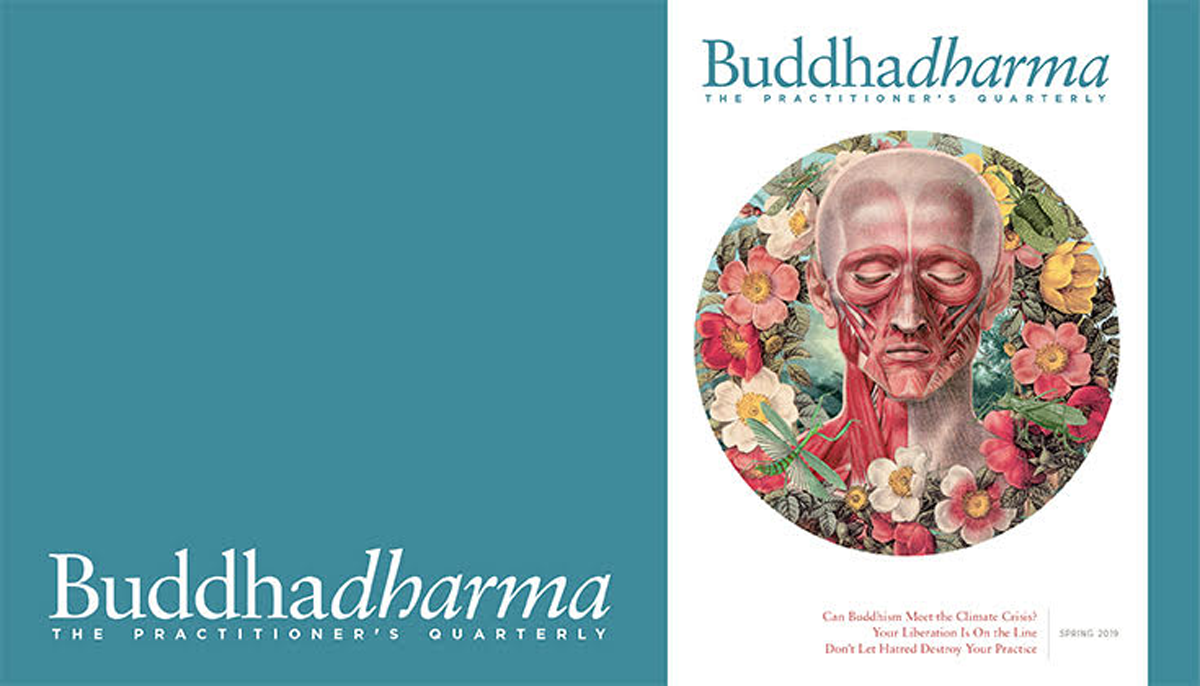 Inside the Spring 2019 issue of Buddhadharma: The Practitioner’s ...