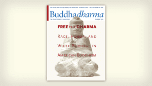 Buddhadharma Cover, Free the Dharma.