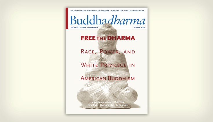 Buddhadharma Cover, Free the Dharma.