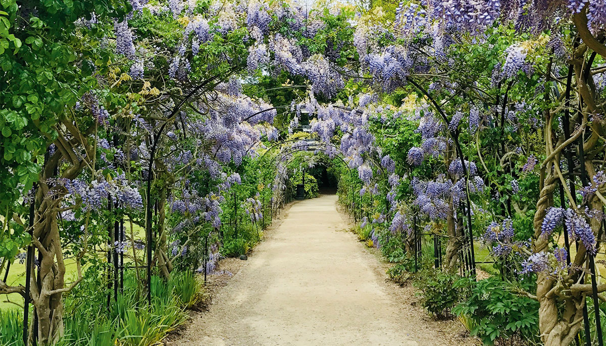 Archway of flowers