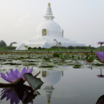 Photo of a pagoda on waterlily pond in Lumbini, Nepal.