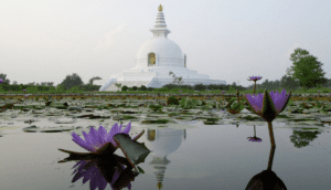 Photo of a pagoda on waterlily pond in Lumbini, Nepal.