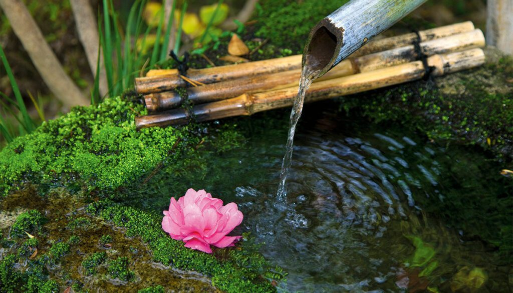 water pouring into pool with pink flower floating