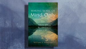 Read "Mere Perception in Vasubandhu’s Twenty Verses" from Making Sense