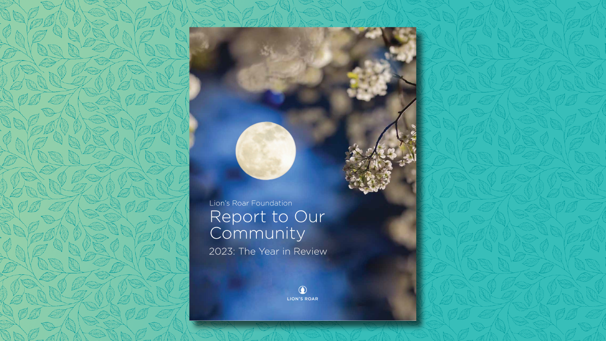 Read the Lion’s Roar Foundation 2023 “Report to Our Community”