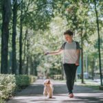 a person walking their dog in a path with trees.