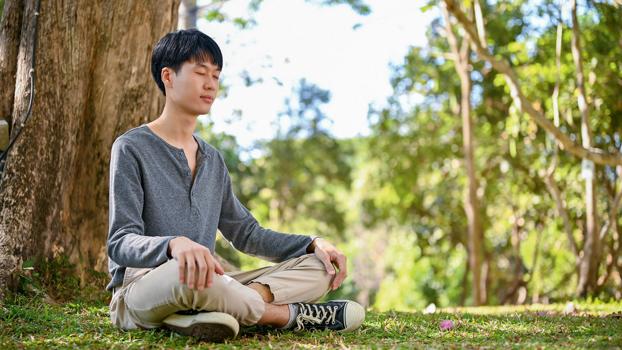 Discover the benefits of mindfulness meditation