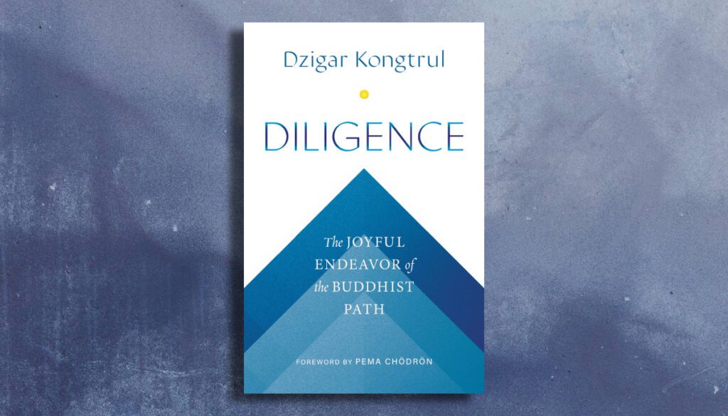 The cover of Dzigar Kongtrul Rinpoche's book Diligence is seen.