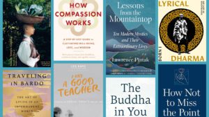 VISIONS OF BUDDHIST LIFE ／DON FARBER 英語 VISIONS OF BUDDHIST LIFE ／DON FARBER 英語