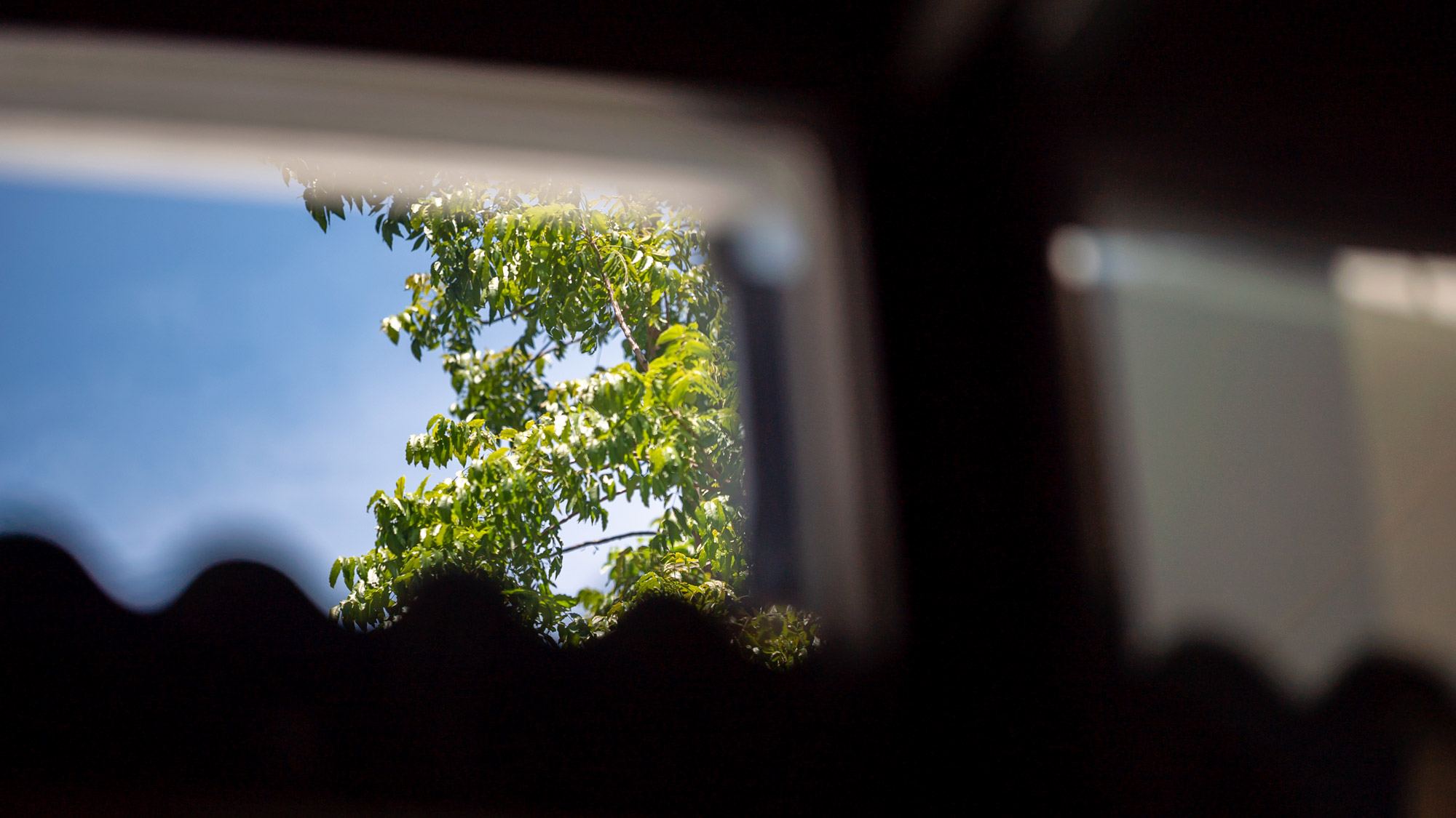 The View from the Ambulance Window