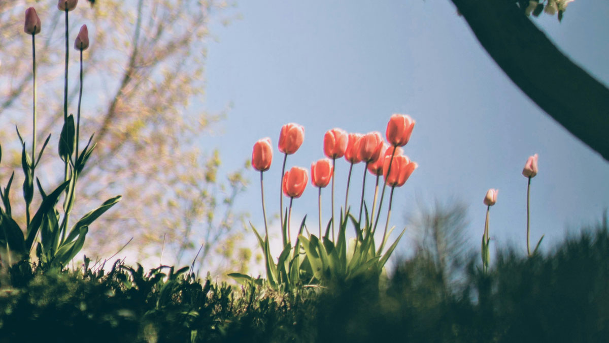 You Can’t Force a Loving Heart to Grow