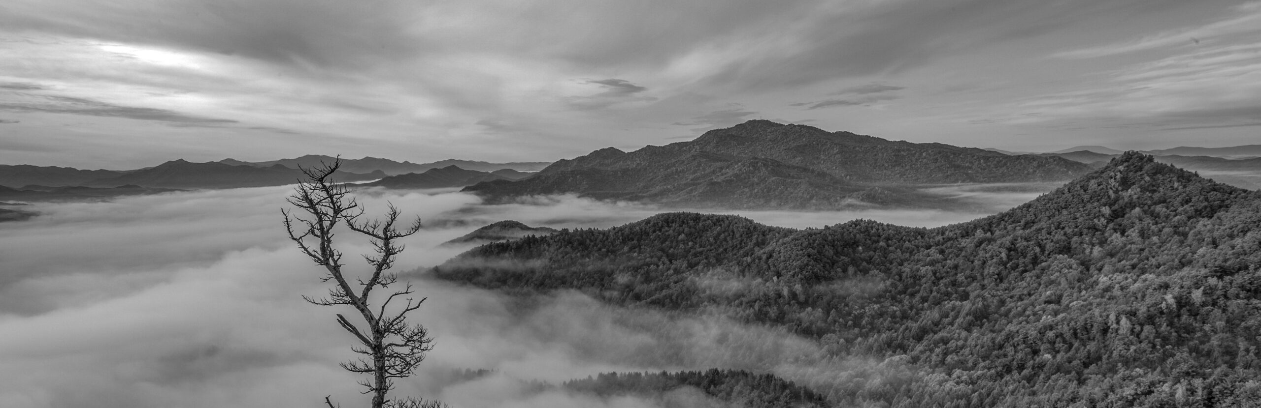 China, Heilongjiang, Yichun, Xilin District, 金祖峰景區售票處 Published on January 30, 2026 (UTC) Free to use under the Unsplash License